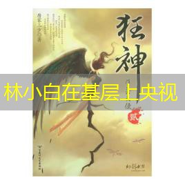 林小白在基层上央视 林小白在基层上央视