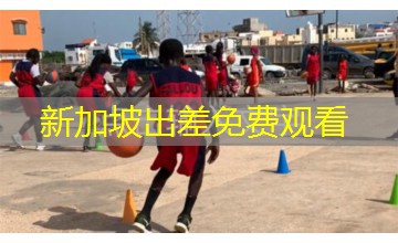 新加坡出差免费观看