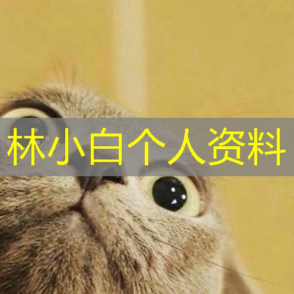 林小白个人资料
