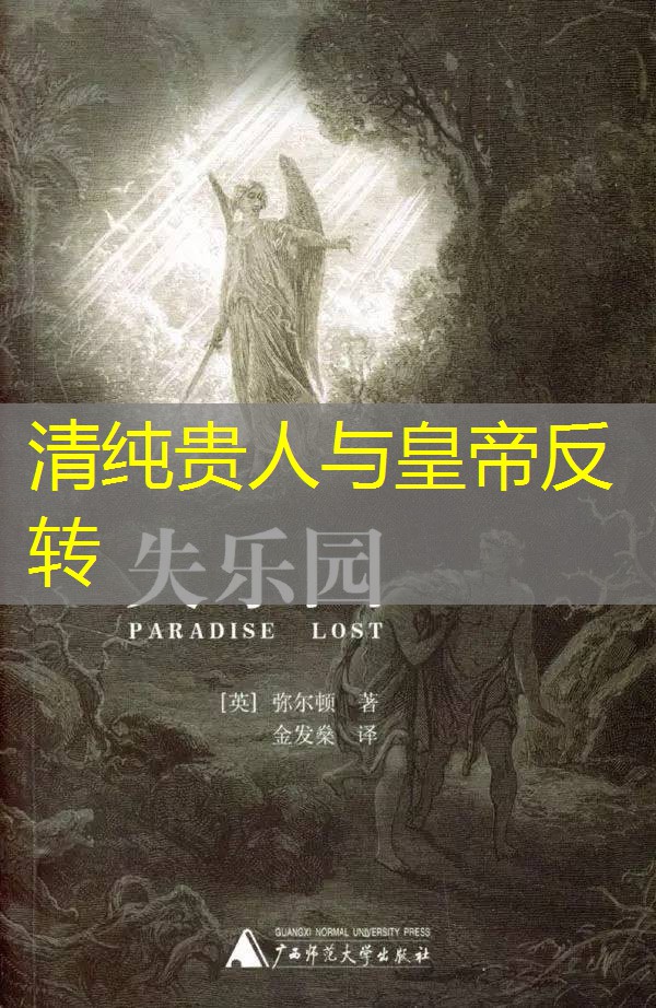 清纯贵人与皇帝反转