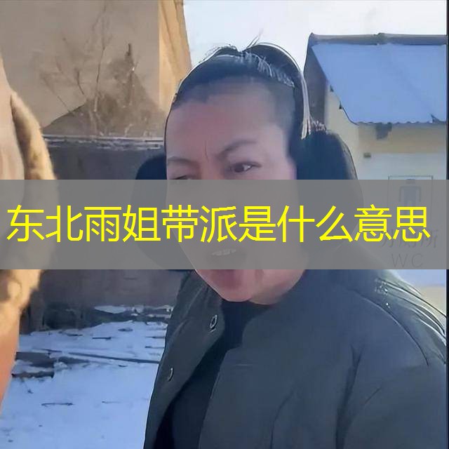 东北雨姐带派是什么意思 东北雨姐带派是什么意思