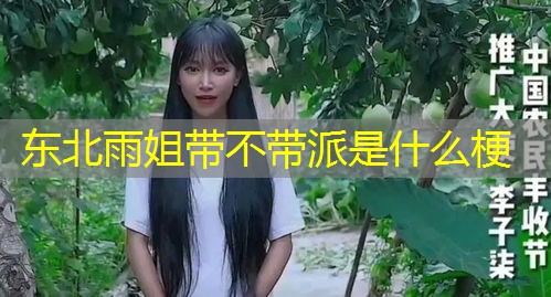 东北雨姐带不带派是什么梗 东北雨姐带不带派是什么梗