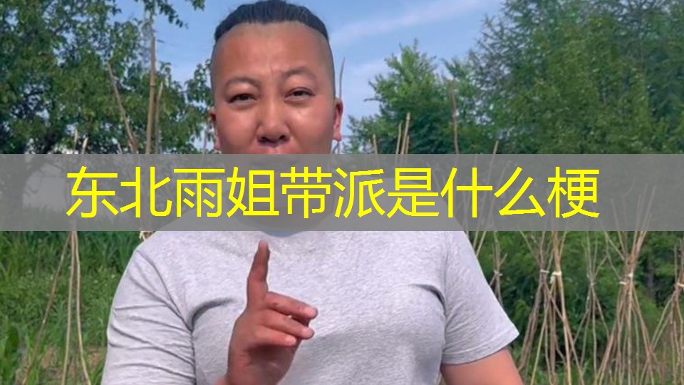 东北雨姐带派是什么梗 东北雨姐带派是什么梗