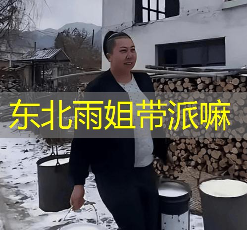东北雨姐带派嘛