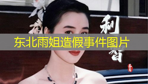 东北雨姐造假事件图片 东北雨姐造假事件图片