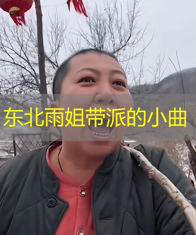 东北雨姐带派的小曲 东北雨姐带派的小曲