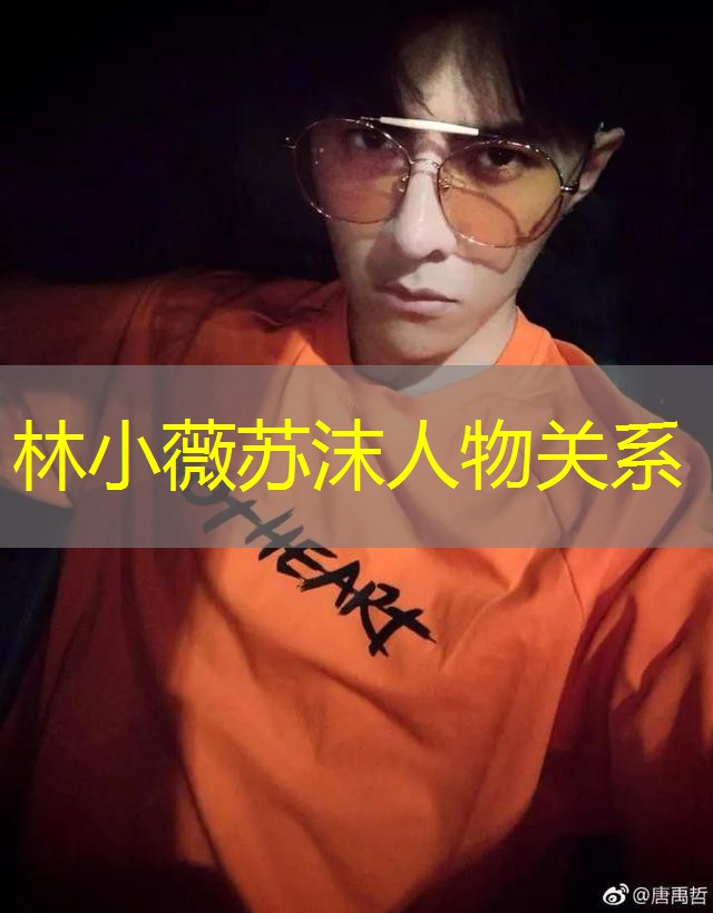 林小薇苏沫人物关系