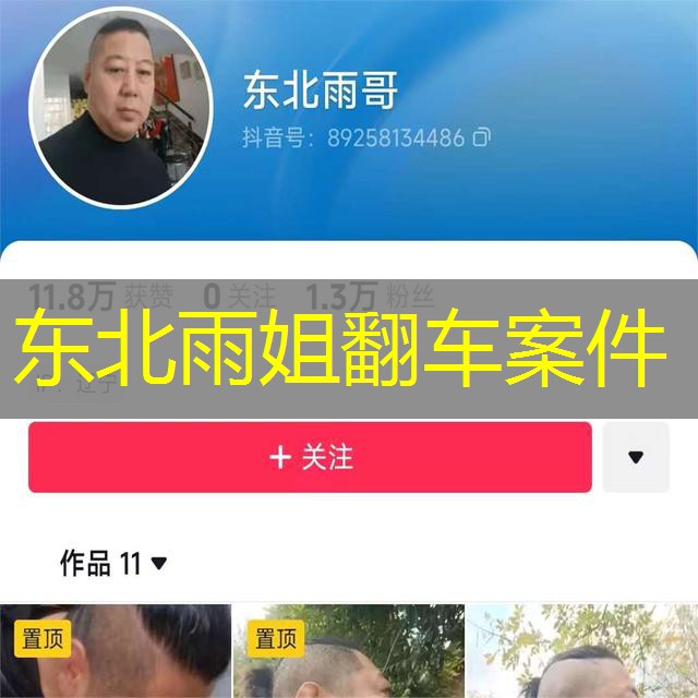 东北雨姐翻车案件 东北雨姐翻车案件