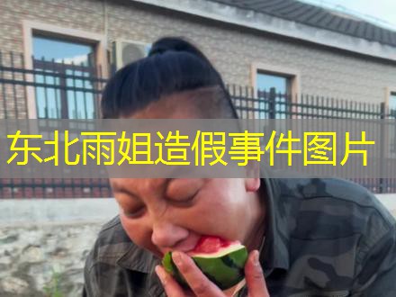 东北雨姐造假事件图片 东北雨姐造假事件图片