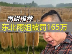 东北雨姐被罚165万 东北雨姐被罚165万