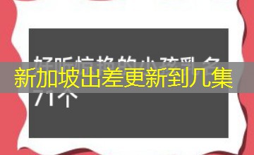 新加坡出差更新到几集