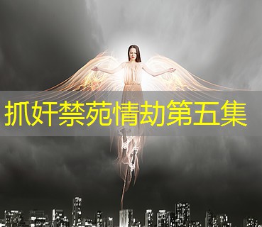 抓奸禁苑情劫第五集