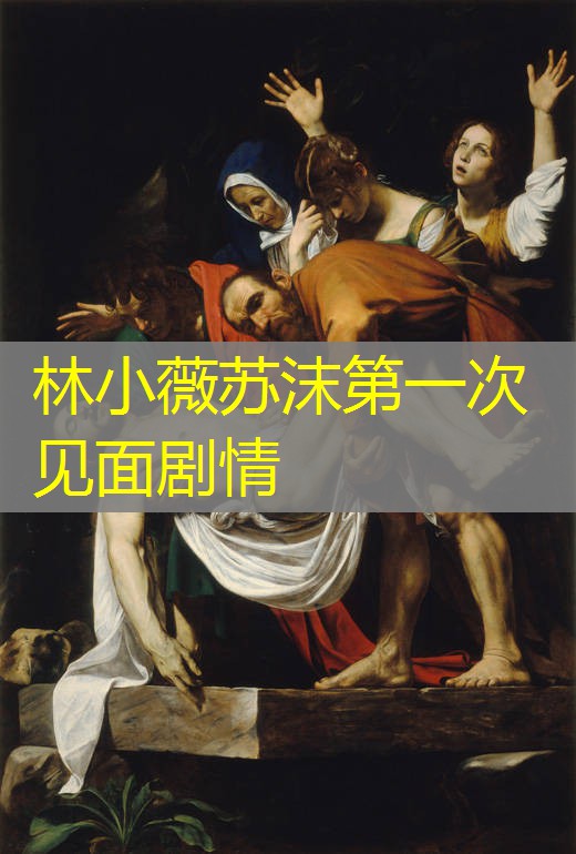 林小薇苏沫第一次见面剧情