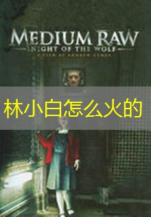 林小白怎么火的