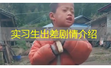 实习生出差剧情介绍