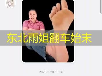 东北雨姐翻车始末 东北雨姐翻车始末