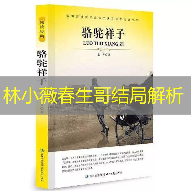 林小薇春生哥结局解析