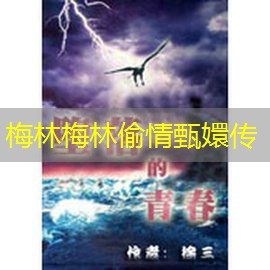 梅林梅林偷情甄嬛传
