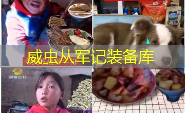 威虫从军记装备库 威虫从军记装备库
