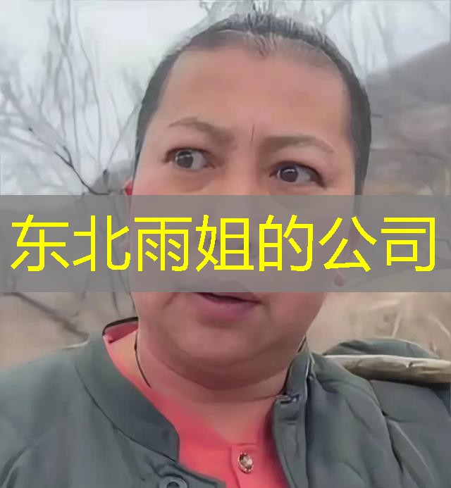东北雨姐的公司 东北雨姐的公司