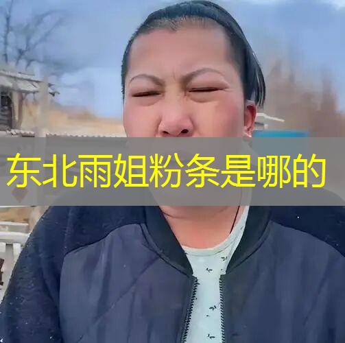 东北雨姐粉条是哪的 东北雨姐粉条是哪的