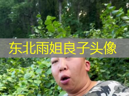 东北雨姐良子头像 东北雨姐良子头像