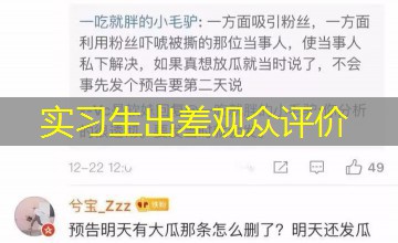 实习生出差观众评价
