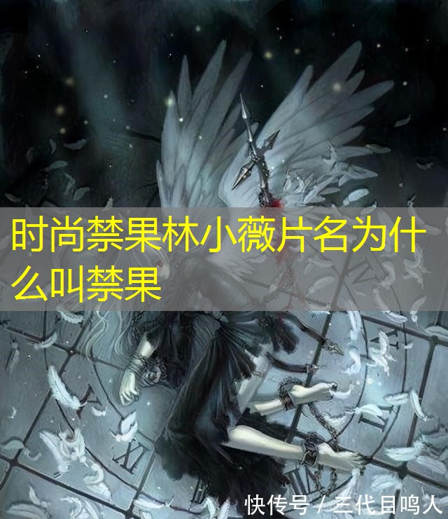 时尚禁果林小薇片名为什么叫禁果