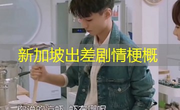 新加坡出差剧情梗概