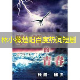 林小薇楚阳百度热词短剧