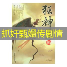 抓奸甄嬛传剧情