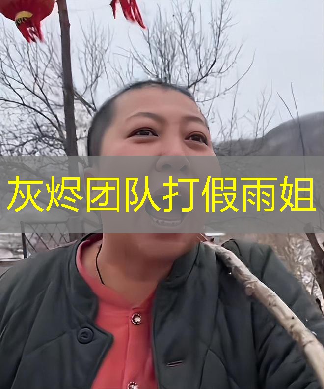 灰烬团队打假雨姐 灰烬团队打假雨姐
