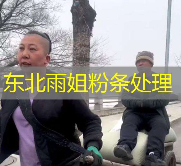 东北雨姐粉条处理 东北雨姐粉条处理