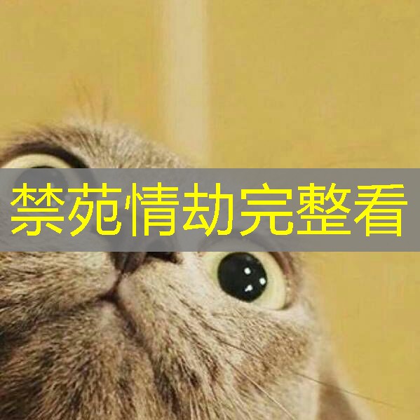 禁苑情劫完整看