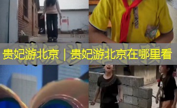 贵妃游北京｜贵妃游北京在哪里看