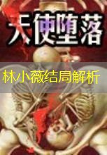 林小薇结局解析