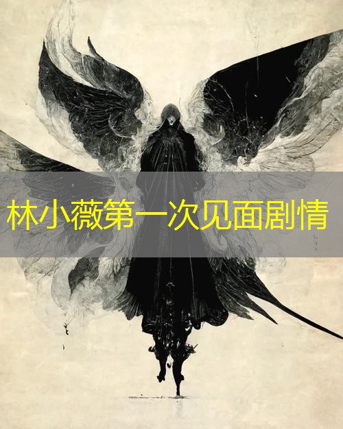 林小薇第一次见面剧情