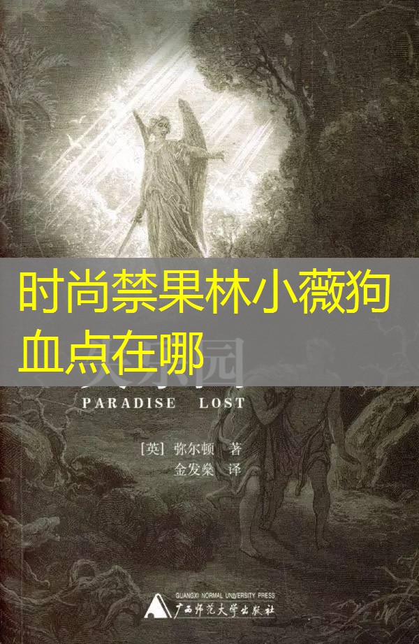 时尚禁果林小薇狗血点在哪