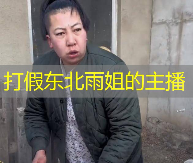 打假东北雨姐的主播 打假东北雨姐的主播