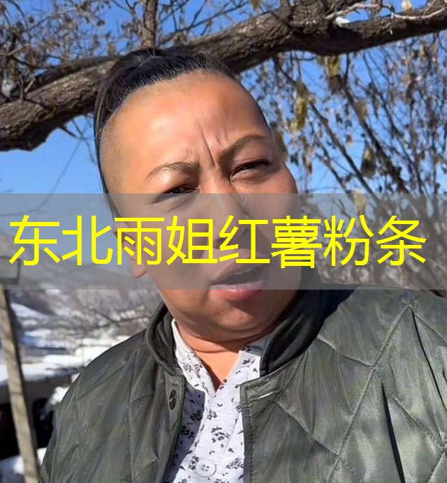 东北雨姐红薯粉条 东北雨姐红薯粉条