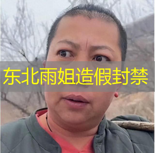 东北雨姐造假封禁 东北雨姐造假封禁