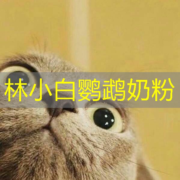 林小白鹦鹉奶粉
