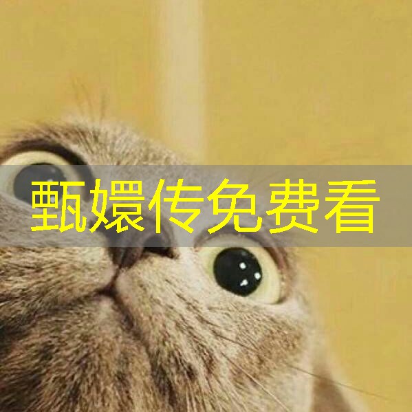 甄嬛传免费看 甄嬛传免费看