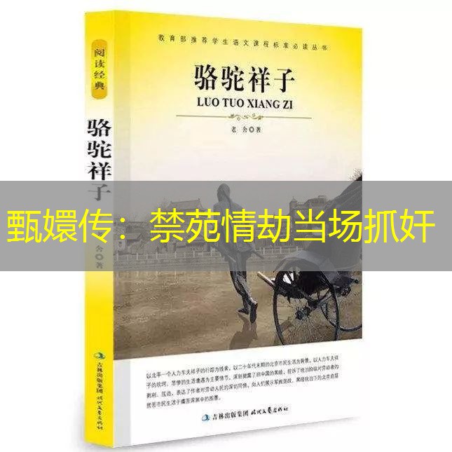 甄嬛传：禁苑情劫当场抓奸
