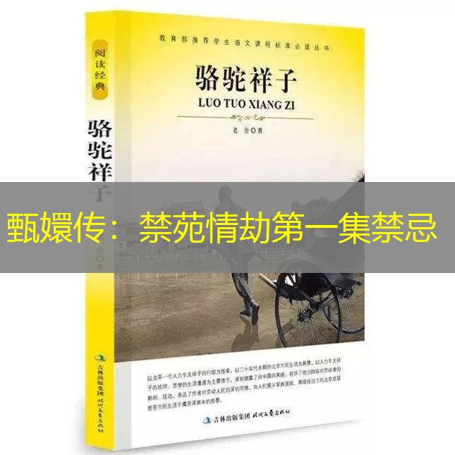 甄嬛传：禁苑情劫第一集禁忌