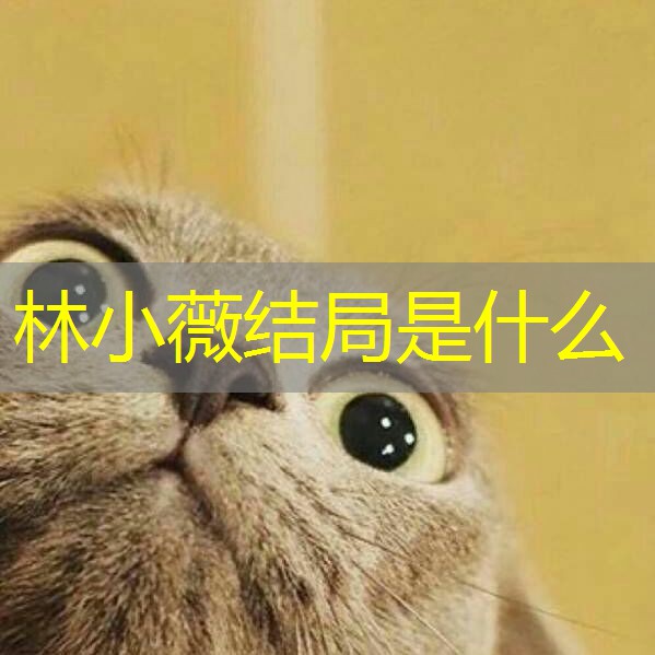 林小薇结局是什么 林小薇结局是什么