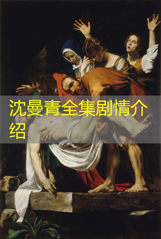 沈曼青全集剧情介绍