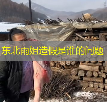 东北雨姐造假是谁的问题