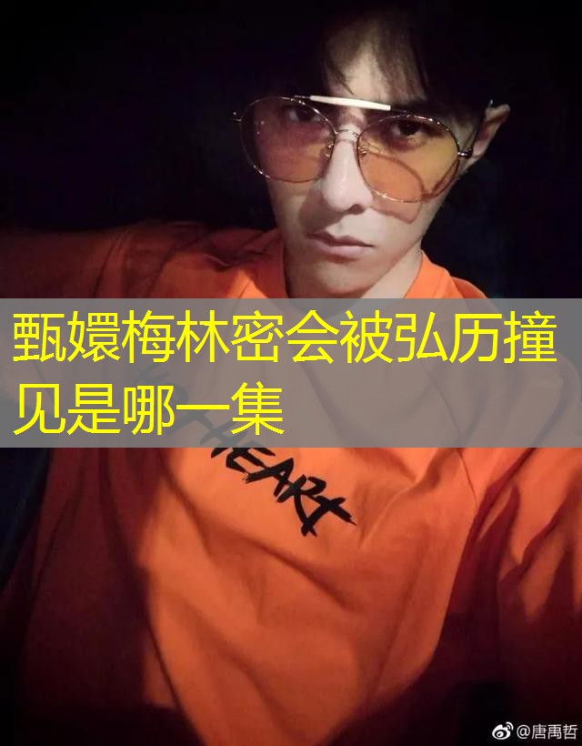 甄嬛梅林密会被弘历撞见是哪一集