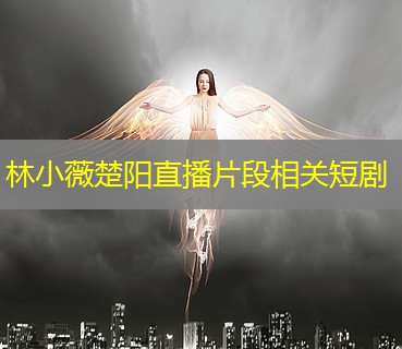 林小薇楚阳直播片段相关短剧